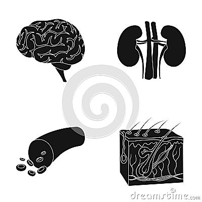 Brain, kidney, blood vessel, skin. Organs set collection icons in black style vector symbol stock illustration web. Vector Illustration