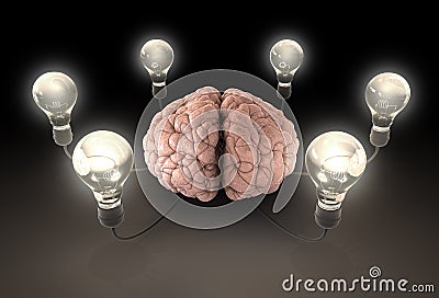 Brain And Lightbulb Imagination Stock Photo