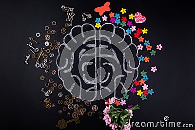 Brain lines drawn by chalk on blackboard background. Top view, flat lay. Gears, lock, keys, flowers, heart, butterfly around Stock Photo