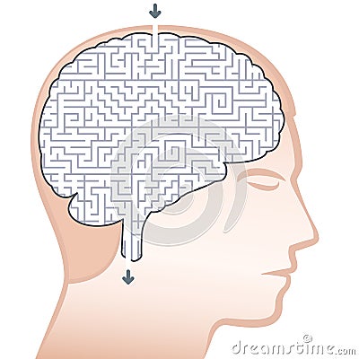 Brain Maze Vector Illustration