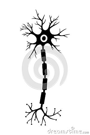 Brain neuron symbol. Human neuron cell sign. Synapses, myelin sheat, cell body, nucleus, axon and dendrites icon Vector Illustration