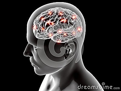 Brain neurons synapse, anatomy, head profile, Stock Photo