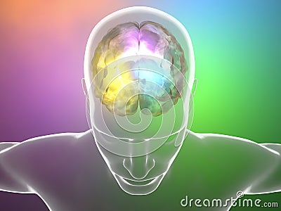 Brain neurons synapse, anatomy, head profile, Stock Photo