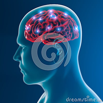 Brain neurons synapse functions Stock Photo