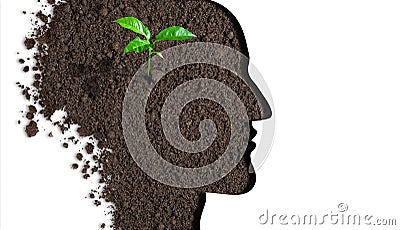 Brain new idea concept Stock Photo