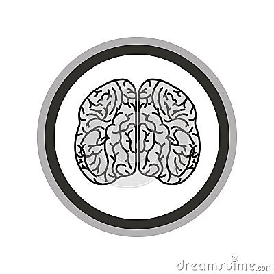 Brain organ human icon Vector Illustration