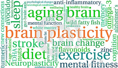 Brain Plasticity Word Cloud Vector Illustration