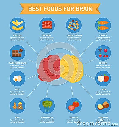 Brain power food infographic Vector Illustration