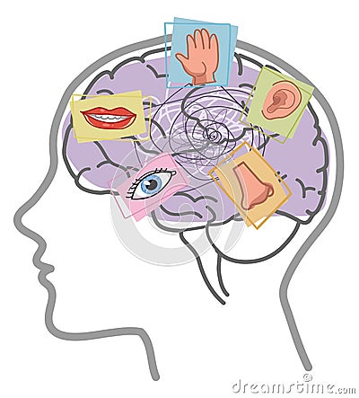 Brain 5 senses mind disorder Vector Illustration