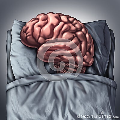 Brain Sleep Stock Photo