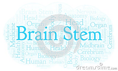 Brain Stem word cloud. Stock Photo