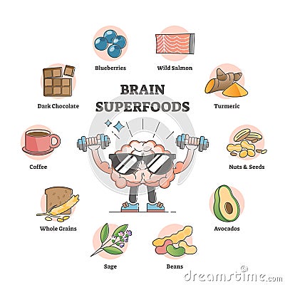 Brain superfoods as nutrition diet products to improve memory outline concept Vector Illustration