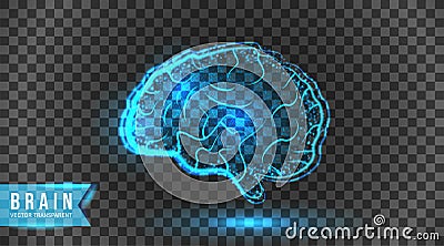 Brain Tech. Digital technology, Isolated On transparent background Stock Photo