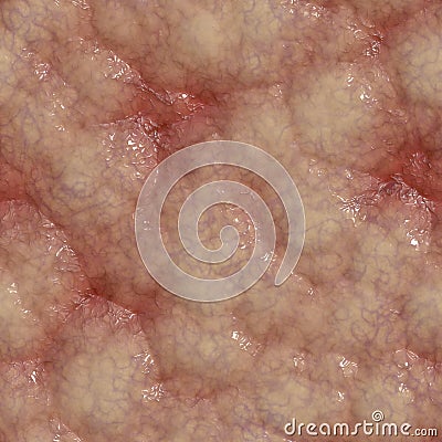 Brain texture, part of brain, section of connective tissue Stock Photo