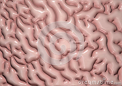 Brain Tissue Stock Photo