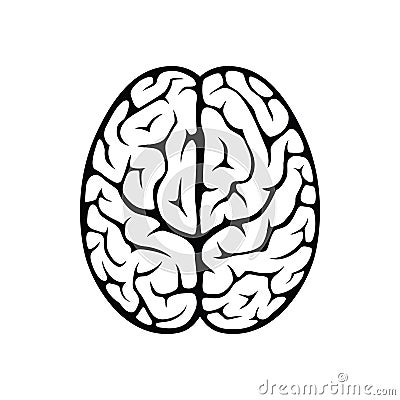 Brain top view Vector Illustration