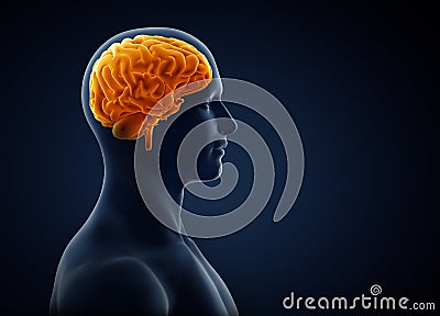 Brain xray Cartoon Illustration