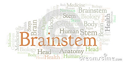 Brainstem word cloud. Stock Photo