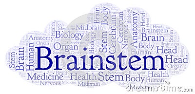 Brainstem word cloud. Stock Photo
