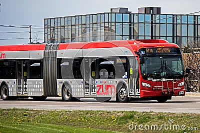 Brampton Zum Bus Close Up On Steeles Avenue Editorial Stock Photo