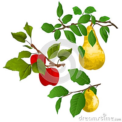 Branch apple tree with red apples and branch of pears with yellow ripe pear on white background watercolor vitage vector illustrat Vector Illustration