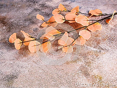 A branch of artificial flowers in the color of the year 2024 Peach Fuzz on a concrete background. Stock Photo