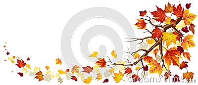 Branch With Autumn Leaves Vector Illustration