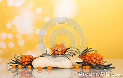 Branch with berries of sea buckthorn and two pieces of soap on a Stock Photo