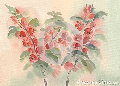 Branch of blooming quince watercolor Cartoon Illustration