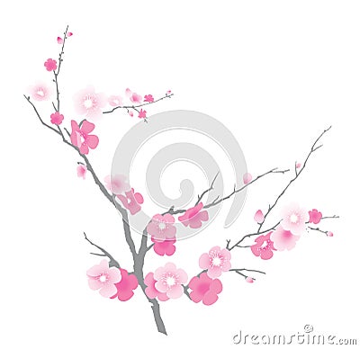 Branch of blooming sakura. Illustration. Isolated on a white background Stock Photo