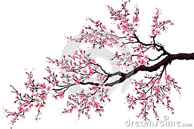 Branch of a blossoming cherry Vector Illustration