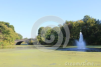 Branch brook park Editorial Stock Photo