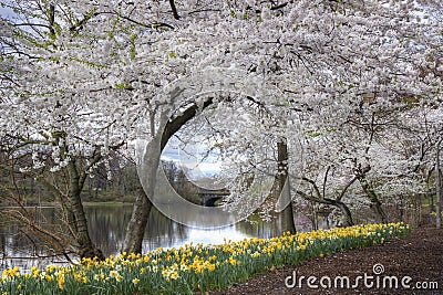 Branch Brook Park Stock Photo