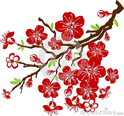 Branch of the cherry blossoms Vector Illustration