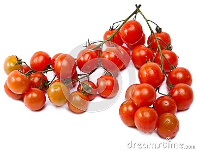 branch of cherry tomatoes, isolated on white background Stock Photo