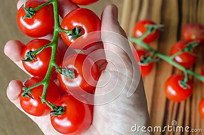 A branch of cherry tomatoes in woman`s hand against blurred boar Stock Photo