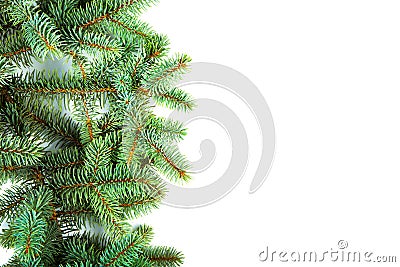 Branch of Christmas fir-tree on white background closeup. green spruce branches. New year. Stock Photo