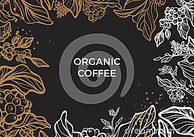 Branch of coffee tree with leaves, flowers and coffee beans. Vector template Vector Illustration