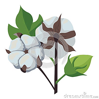 A branch of a cotton plant. Natural fluffy fiber on the handle. Vector Illustration
