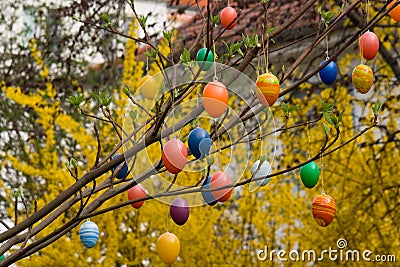 Branch with Easter eggs Stock Photo