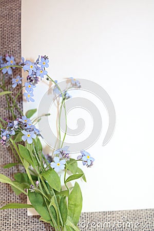 A branch of forget-me-nots on paper Stock Photo