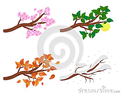 Branch in four seasons - spring, summer, autumn, winter. Collection of Apple trees isolated on white background. Green Vector Illustration