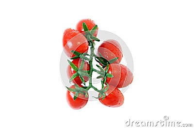 A branch of fresh ripe tomatoes Stock Photo