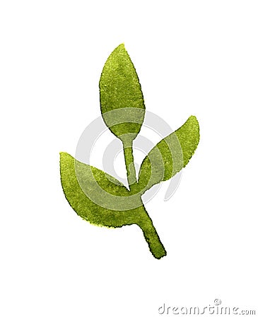 Branch with green leaves Cartoon Illustration