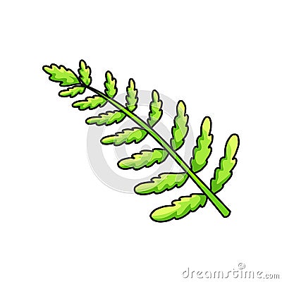 Branch of green succulent palm leaves from tropical collection isolated on white background Vector Illustration