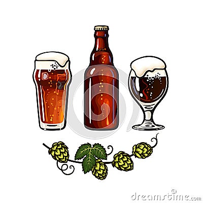 Branch of hop, Nonic pint beer glass, Goblet beer glass with foam and bubbles and dark glass bottleVector illustration Vector Illustration