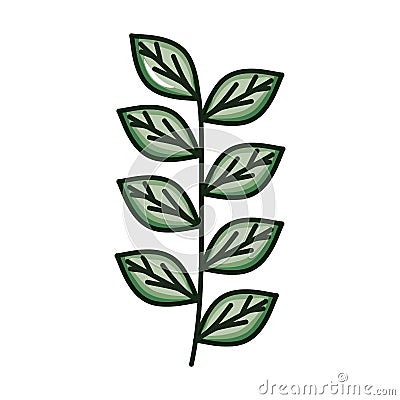 Branch with leafs plant ecology icon Vector Illustration