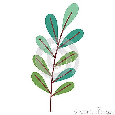 branch with leafs plant Vector Illustration