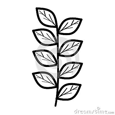 Branch with leafs plants garden Vector Illustration