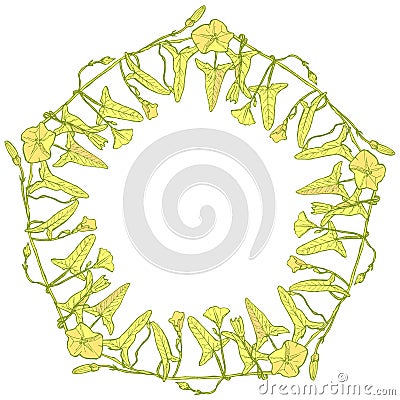 Branch with leaves buds and flowers bindweed floral pentagonal frame, border wreath for your text yellow light green Leaves Vector Illustration